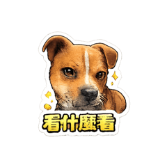 小馨的寶貝3