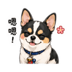 吉娃娃-阿財（Q版）