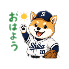baseball shiba