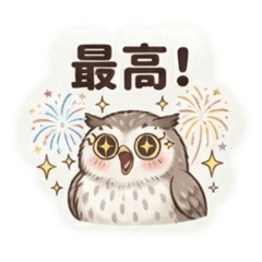AOI_20260820020045
