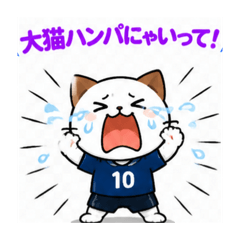 tomatomato_20260820021908