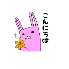 Flat eyed Rabbit