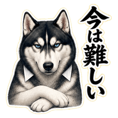 断りにくいLINEをやわらげる犬スタンプ｜ハスキー先輩32の使い方のサムネイル
