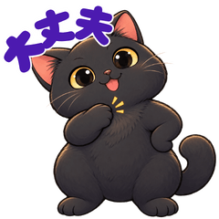 Round Black Cat Daily Chat