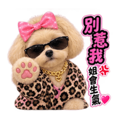 本小姐小布丁:我最傲嬌 2(瑪爾泰迪)