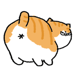 Mini Cheese Cat Daily Life