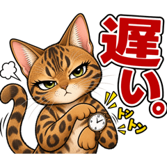 Rena.E_20260820000133