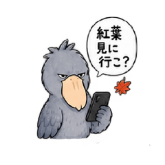 Misamaru_20260820140354