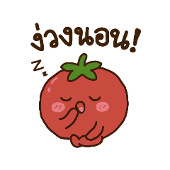 SATO_20260817195119