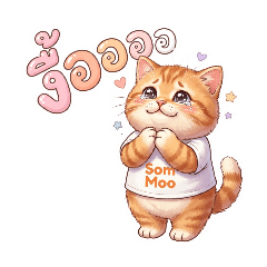 Som Moo #1 in daily life