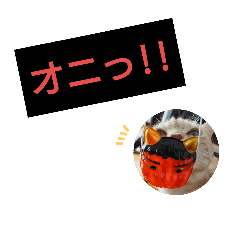 anzu cat(daily conversation)