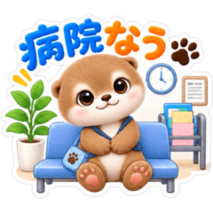 Otter visiting the clinic