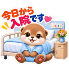 An otter in the hospital