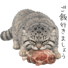 Pallas's cat in autumn[With Text]