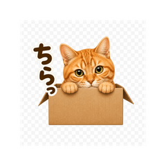 Gottan the Ginger Cat: Daily Life