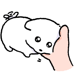 Clingy little dummy puppy(No Text)