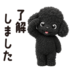 Black Toy Poodle F(Honorifics)