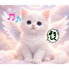 angelyou_20260820234151