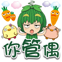 《生活好實用》★小西瓜★