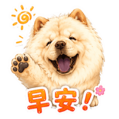 優格奶油鬆獅犬