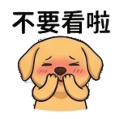 黃金亮亮：超實用的萬用日常對話