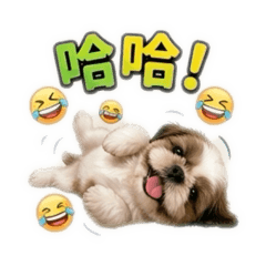 奶繃(第三版)