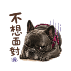 米漿 生活用語