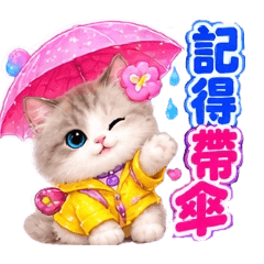 點點的雨天