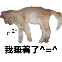 不是AI