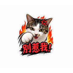米米特工隊