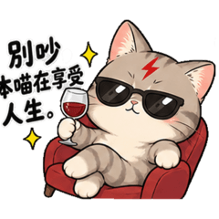 閃閃喵人生