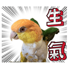 凱克小萬-憤怒社畜