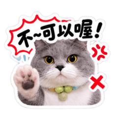 4個屁孩加小餅乾