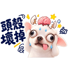 爆笑吉娃娃1