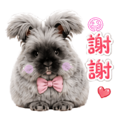 阿墨仔的心聲