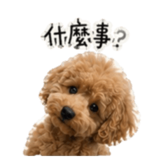 嚕比_