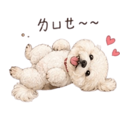 Bono可愛爆擊
