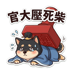 黑柴小黑糖⭐️社畜江湖日常 Vol.2