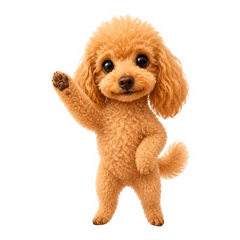 Golf-Loving Family Toy Poodle
