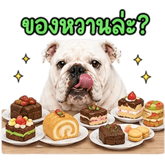 Adorable English Bulldogs V.21