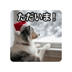 Fumi_20260819091949