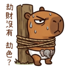 內褲水豚37大象小褲褲