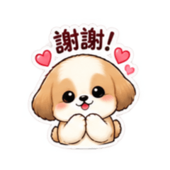 小豆狗狗