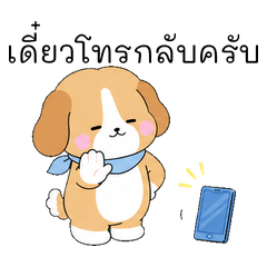 Fluffy Puppy: Work & Life