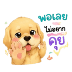 Phakhakun Bunsiri_20260819160607
