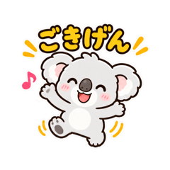 maimi_20260821191925
