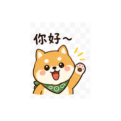 Cute Shiba Inu daily life ^^
