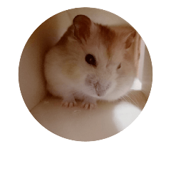buie buie