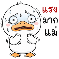 Widy Duck (THAI)