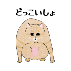 Chomuyan_20260822062439